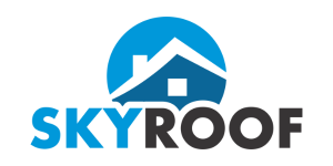 Logo Skyroof